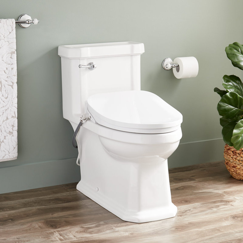 Signature Hardware 450179 Amberley OnePiece Elongated Toilet With Aldridge Bidet Seat ADA